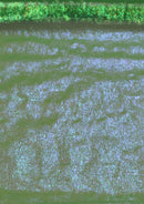 Green 50" Rainbow Organza Pearlised Iridescent Fabric Weddings Decor